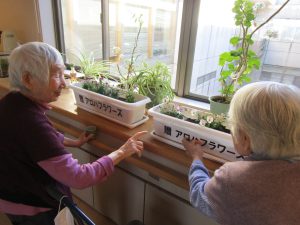 アロハフラワーズ様から花植えプランターをいただきました。